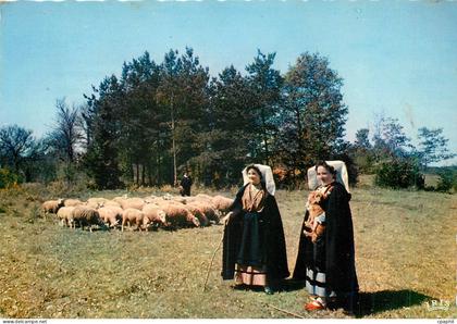 CPM Le Limousin Pittoresque Folklore