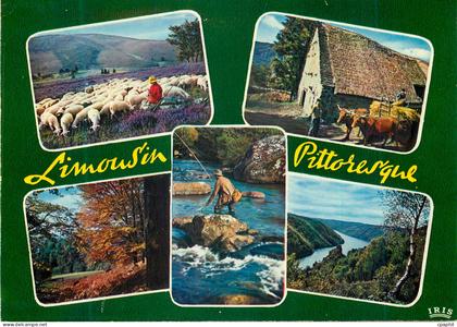 CPM Limousin Pittoresque Paysages du Limousin