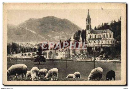 CPA Lourdes La Basilique