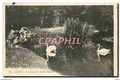 CPA Lucon Les Cygnes du Jardin Dumaine