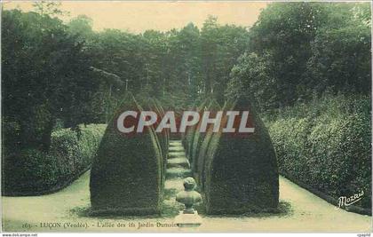 CPA Lucon Vendee L'allee des ifs Jardin Dumaine