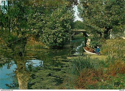 85 - Maillezais - Venise Vendéenne - Promenade au pied de l'Abbaye - CPM - Voir Scans Recto-Verso