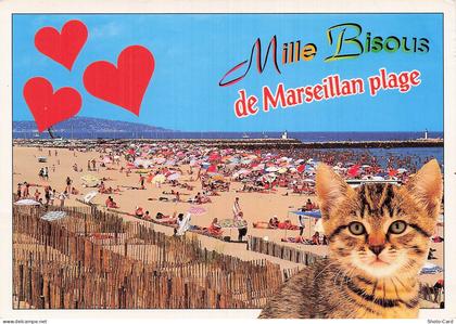 34 MARSEILLAN MARSEILLAN PLAGE