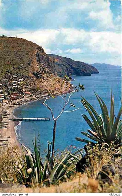 Martinique - Belle Fontaine - La Cote Caraibe à Belle Fontaine - CPM - Voir Scans Recto-Verso