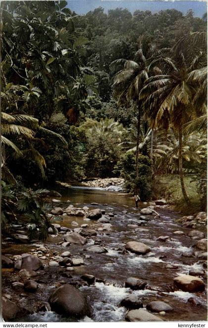 Saint Joseph Martinique