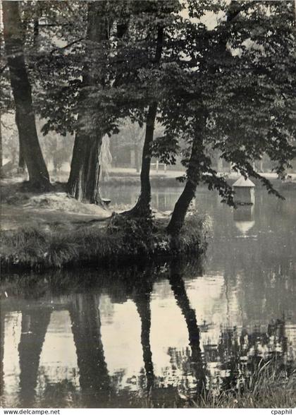 CPM Massy (S et O) Vue sur l'Etang