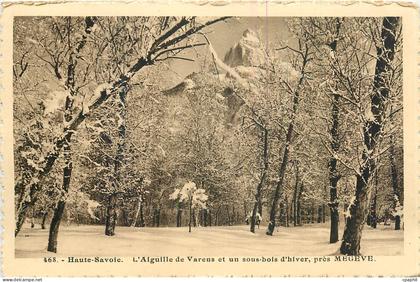 CPA Haute Savoie L'Aiguille de Varens et un sous bois d'hiver pres Megeve