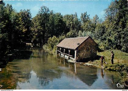 91 - Méréville - Le Lavoir sur la luine - CPM - Voir Scans Recto-Verso