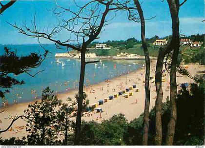 17 - Meschers - La Plage des Nonnes - CPM - Voir Scans Recto-Verso