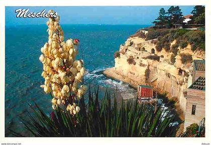 17 - Meschers - Les Grottes de Matata - CPM - Voir Scans Recto-Verso