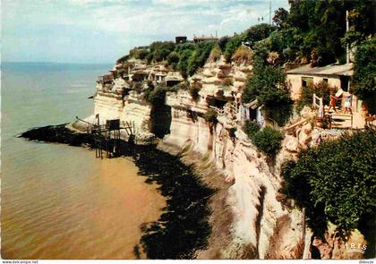 Carte Postale - 17 - Meschers sur Gironde - Falaises et Grottes de Meschers - Carte Dentelée - CPSM grand format - Carte