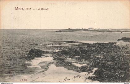 mesquer * quimiac * vue sur la pointe