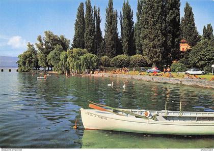 74 MESSERY LA PLAGE DE LA POINTE