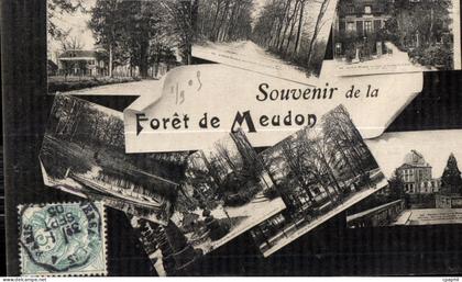 CPA Meudon Foret De Souvenir