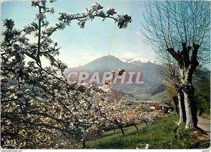 CPM Le Massif du Canigou au printemps
