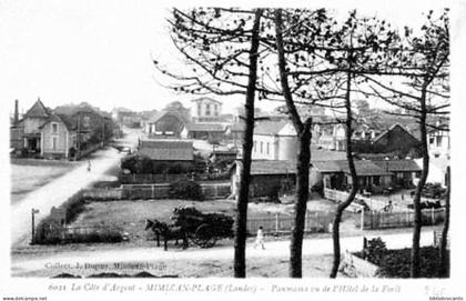 D40 CPA - MIMIZAN-PLAGE < VUE ANIMEE, PANORAMA  DE L'HOTEL DE LA FORET