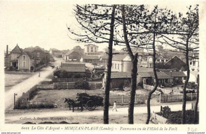 D40 CPA - MIMIZAN-PLAGE < PANORAMA VU DE L'HOTEL DE LA FORET