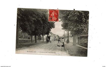 MOISSELLES L'AVENUE DES MARRONNIERS