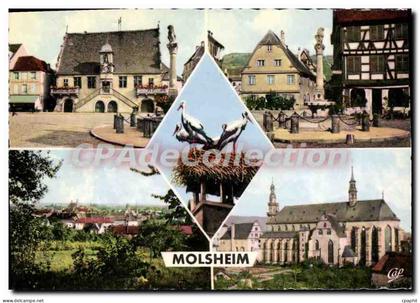 CPSM Molsheim Place de l'Hotel de Ville Vue generale musée