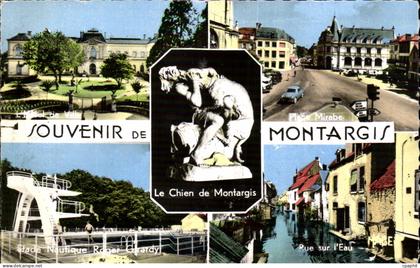 CPSM Montargis Souvenir Le chien de Montargis