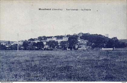 Montbard CPA Vue generale La prairie