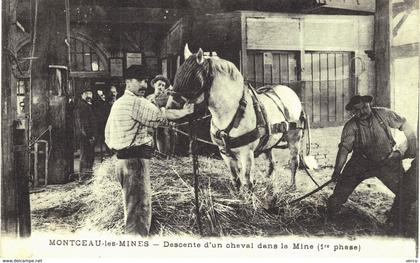 Carte Postale de MONTCEAU les MINES - descente d'un cheval dans la mine