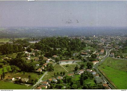 Montendre les pins