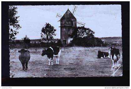 MONTFERMEIL LE MOULIN