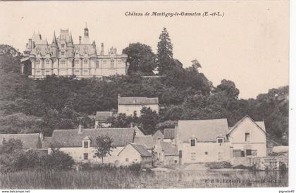 cp , 28 , MONTIGNY-le-Gannelon , Château