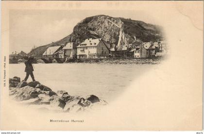 CPA MONTMELIAN Vue Generale (1192444)