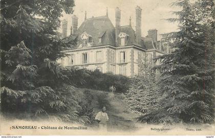 CPA Samoreau Chateau de Montmelian