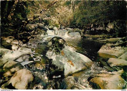 86 - Montmorillon - Le saut de la Brame - CPM - Voir Scans Recto-Verso