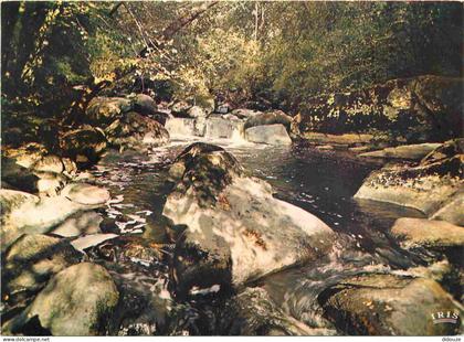 86 - Montmorillon - Le Saut de la Brame - Rivière - CPM - Voir Scans Recto-Verso