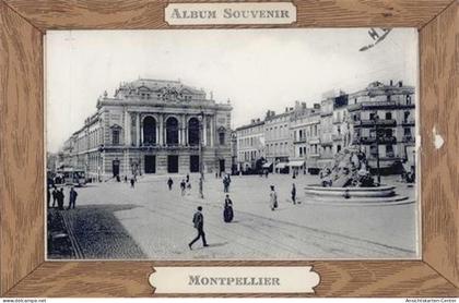 55095544 - Montpellier