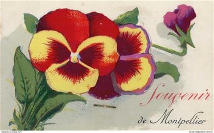 55095547 - Montpellier