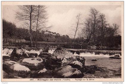 Mortagne sur Sèvre : paysage sur la Sèvre