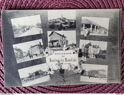 moutiers les mauxfaits , multivue