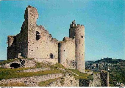 12 - Najac - Le Château - CPM - Voir Scans Recto-Verso