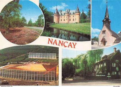 18 NANCAY CHATEAU DE NANCAY