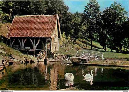 80 - Les Grottes de Naours - Les cygnes près du Moulin - CPM - Voir Scans Recto-Verso
