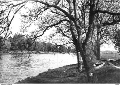 PIE-T-GB-19-1518 : NEUVILLE SUR OISE