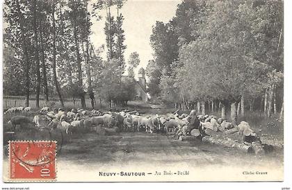 NEUVY SAUTOUR - Au Bois-Brûlé