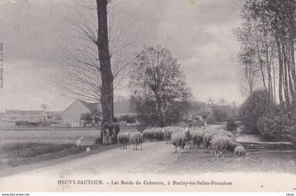 NEUVY SAUTOUR(BERGER) MOUTON