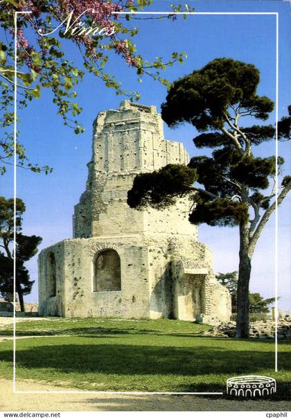 CPM Le Languedoc Nimes la tour Magne
