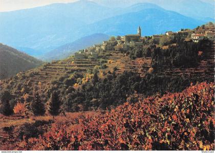 30 NOTRE DAME DE LA ROUVIERE MASSIF DE L AIGOUAL