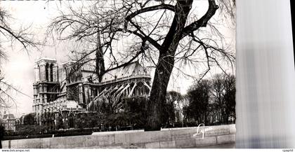 CPA Paris Notre Dame de Paris depuis les Quais