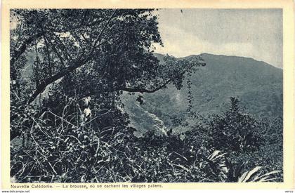 Carte POSTALE  Ancienne  de  NOUVELLE CALEDONIE - La Brousse