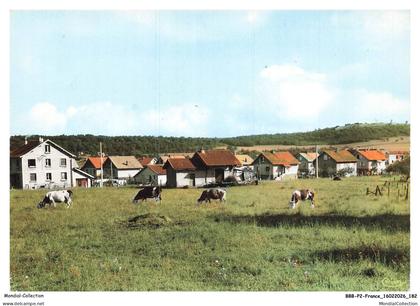 BBBP2-0227-90 - OFFEMONT - Paturages