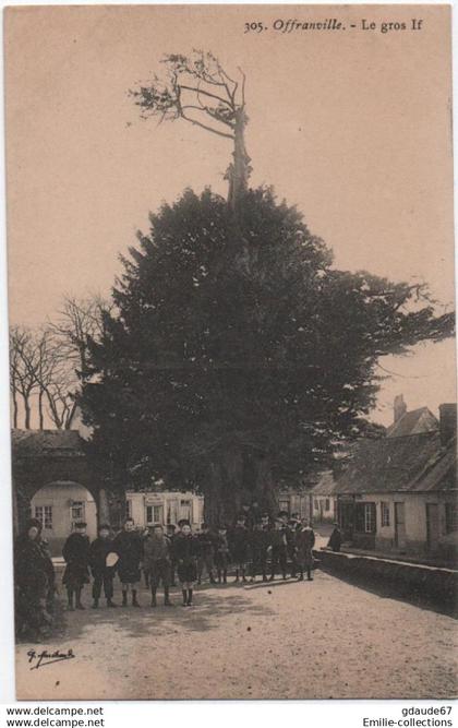 OFFRANVILLE (76) - LE GROS IF