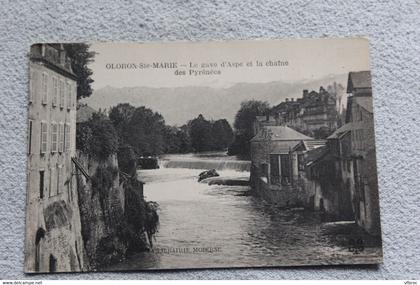 Oloron sainte Marie, le Gave d'Aspe et la chaine des Pyrénées, Pyrénées atlantiques 64